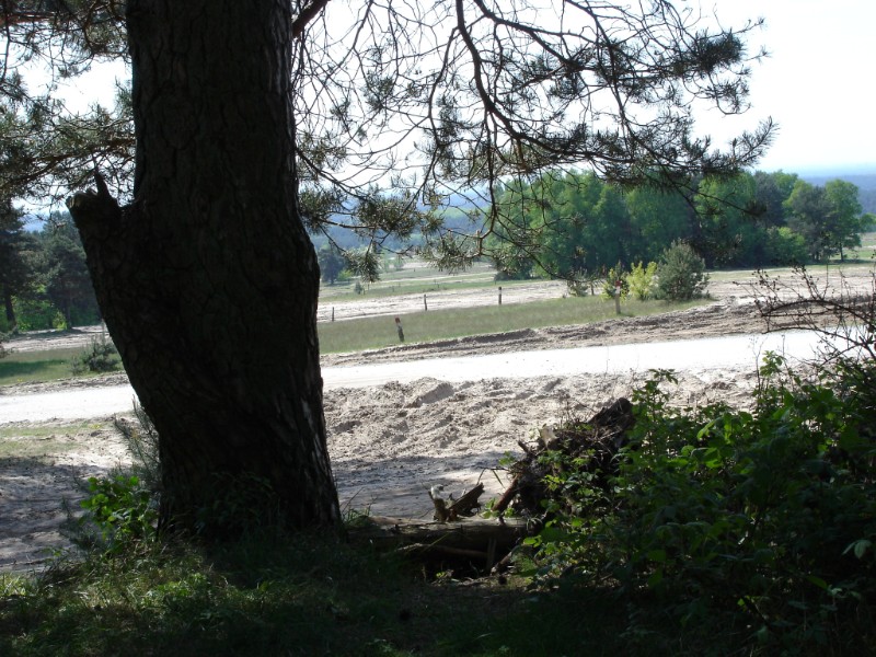 Hermannslauf 2009