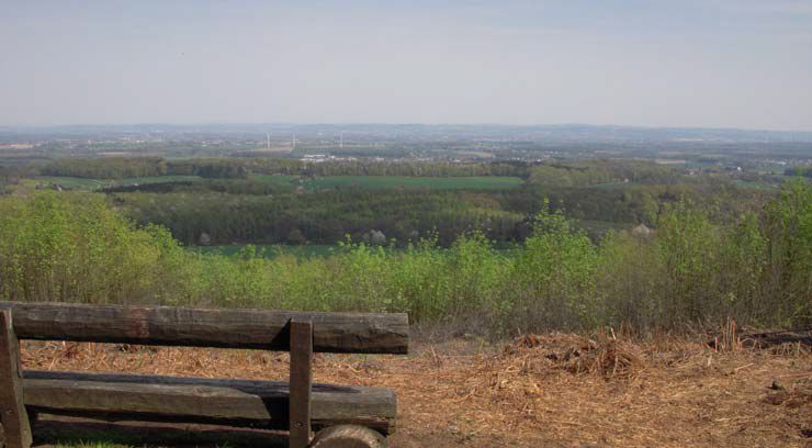 Hermannslauf 2011