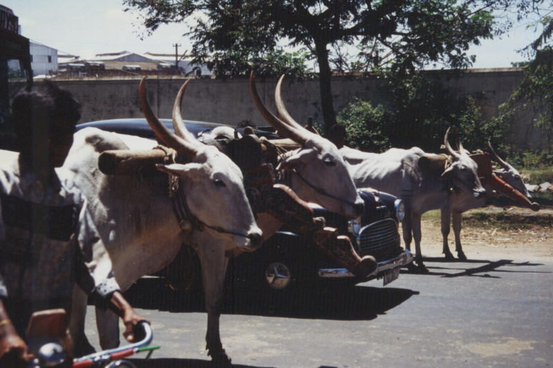 Indien