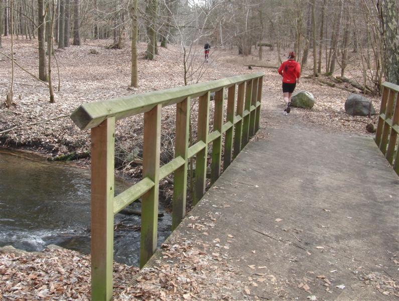 Naturdreiviertelmarathon 2011