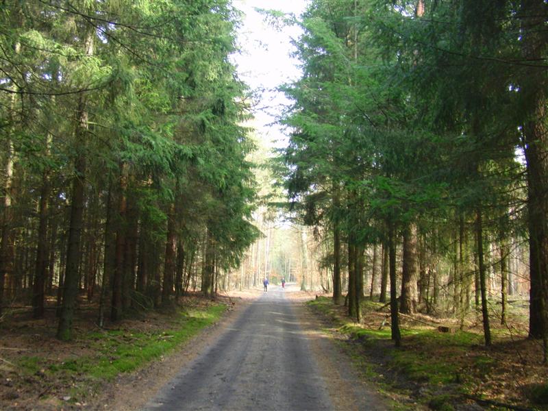 Naturdreiviertelmarathon 2011
