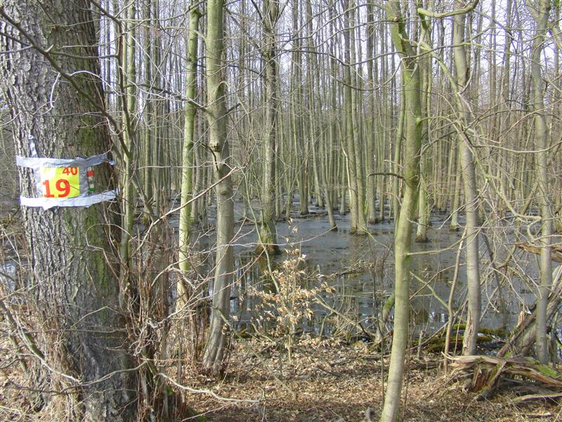 Naturdreiviertelmarathon 2011