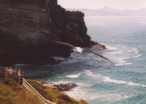 Neuseeland