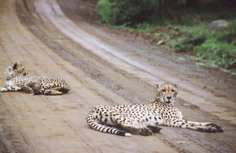 Südafrika