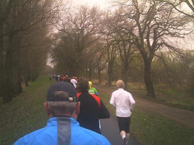 Elbdeichmarathon 2010